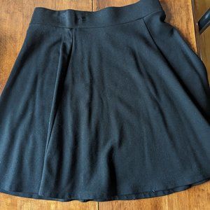 Divided Fit and Flare Black MiniSkirt